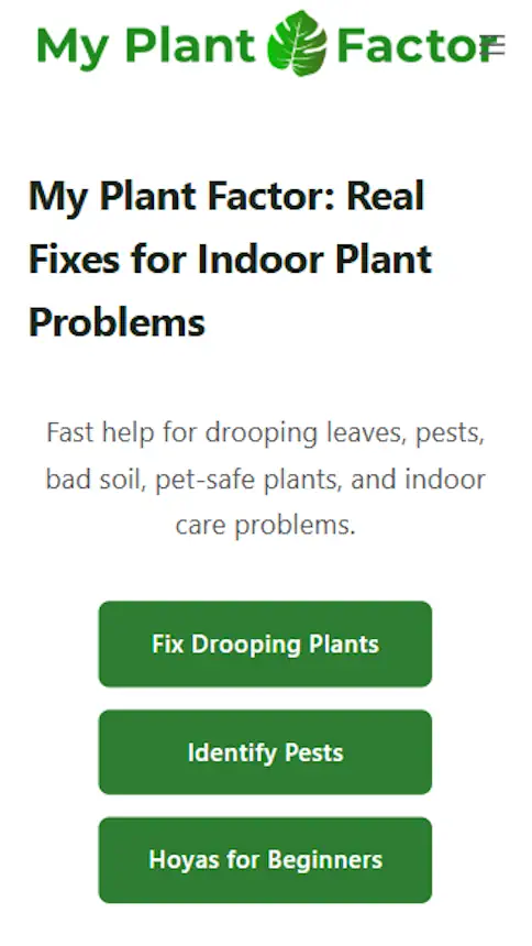 My Plant Factor mobile